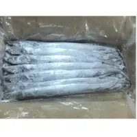 Frozen Ribbon Fish